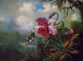 馬丁 約翰遜 赫德 Orchid and Hummingbirds near a Mountain Lake